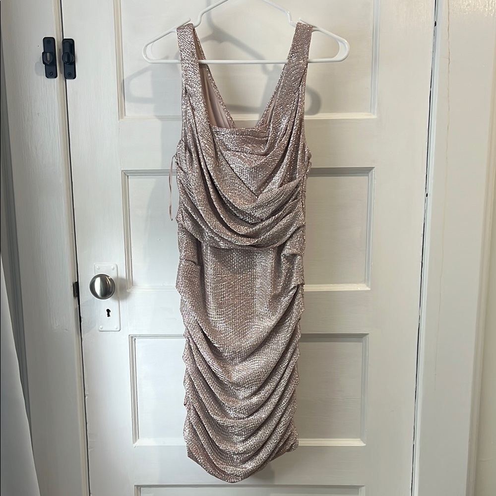 Express Rose metallic Draped Women's Dress